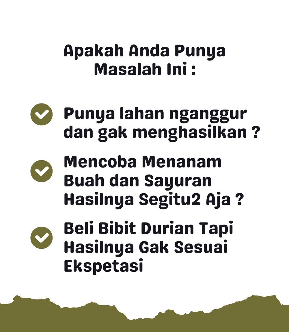 Durian Duri Hitam 2