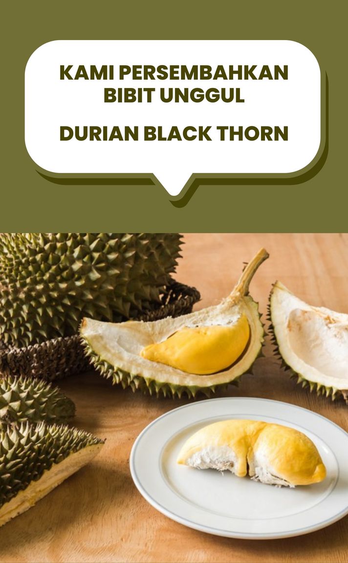 Edukasi Durian 4