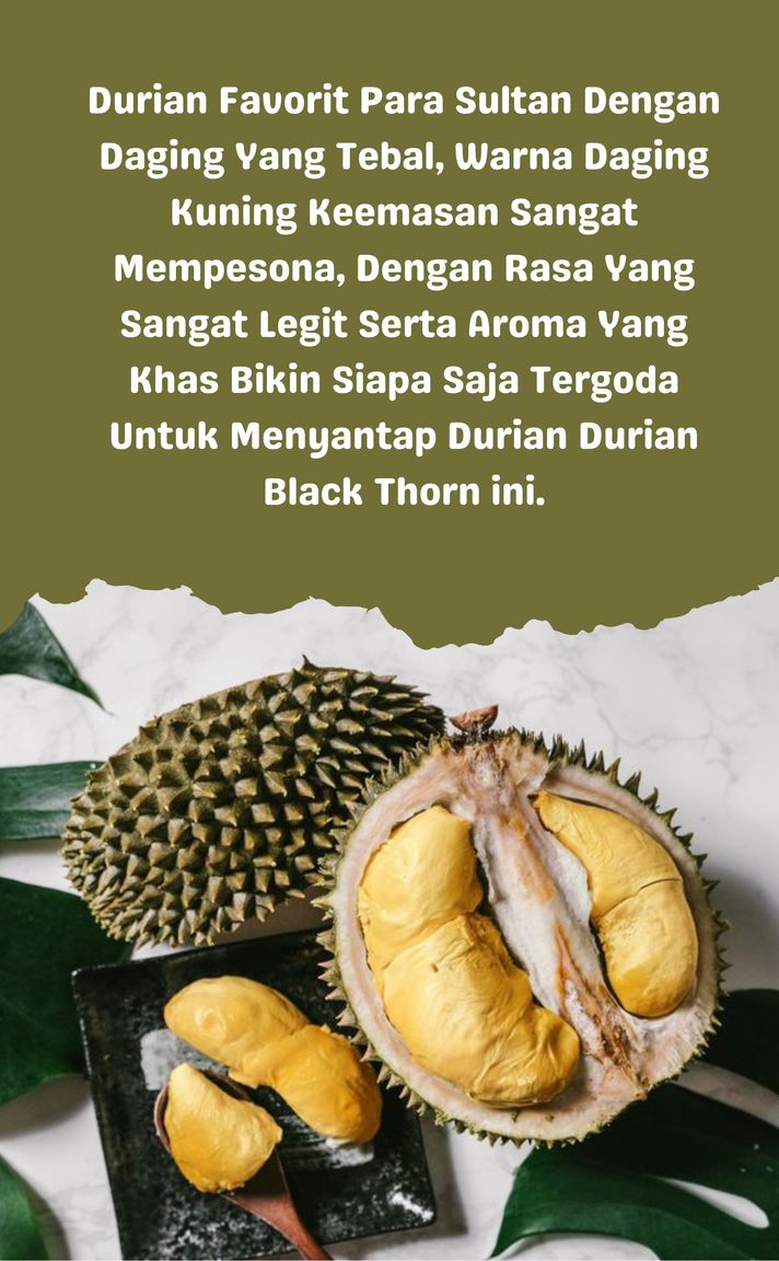 Edukasi Durian 5