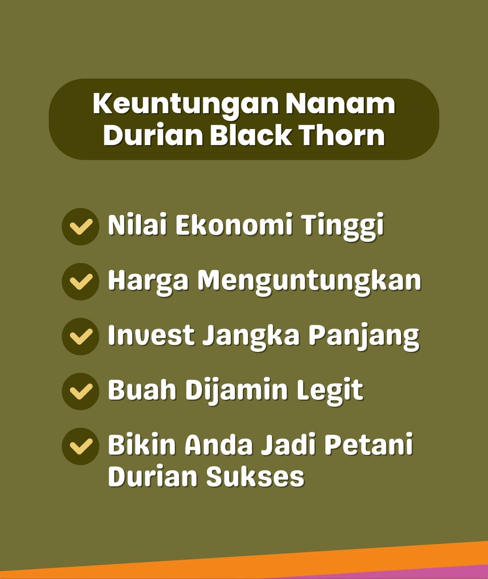 Edukasi Durian 8