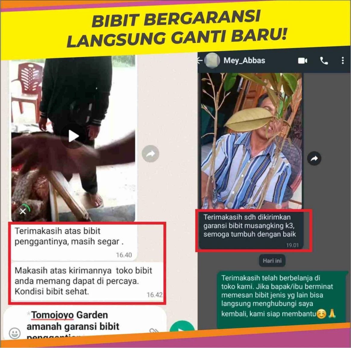 Edukasi Durian 9