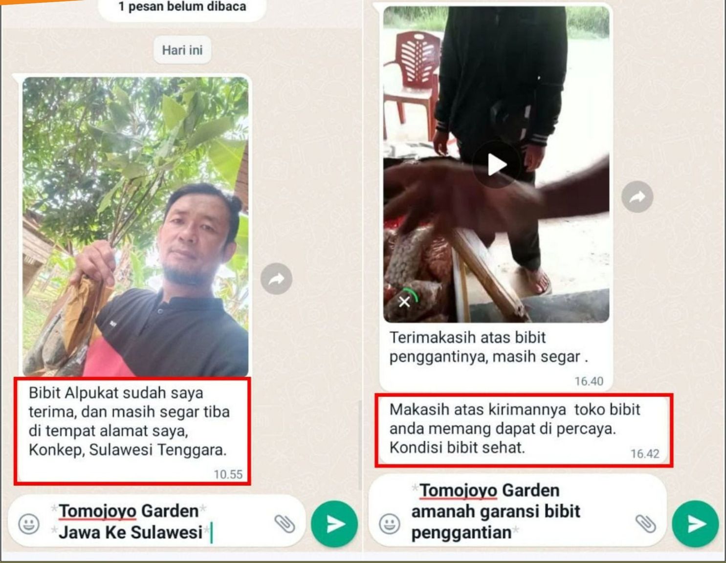 Edukasi Durian 10