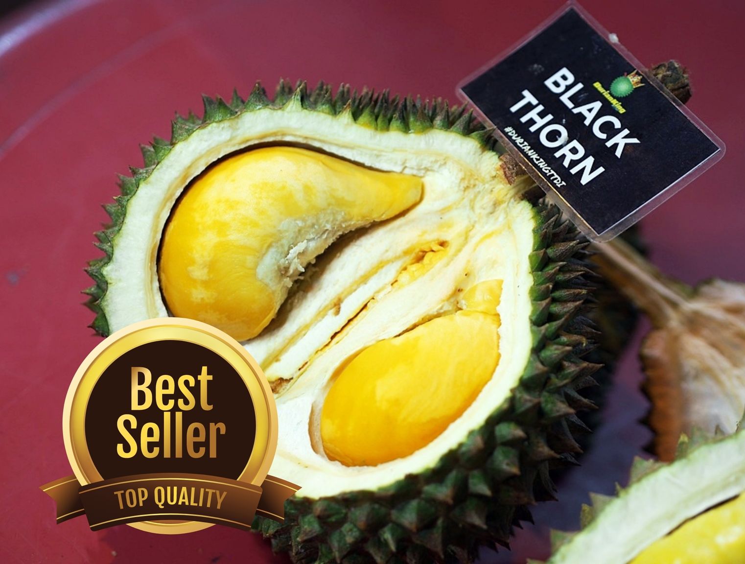Edukasi Durian 11