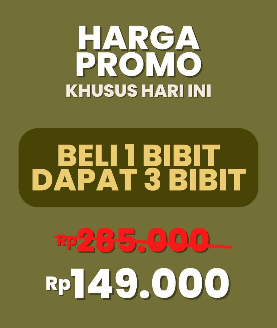 Edukasi Durian 14