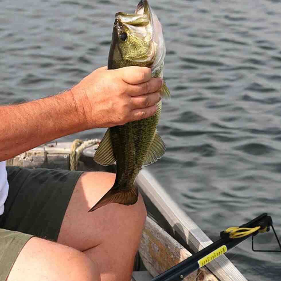 VISSER Ketapel Laras Panjang Pemancing dengan Anak Panah - Alat Memancing Serbaguna