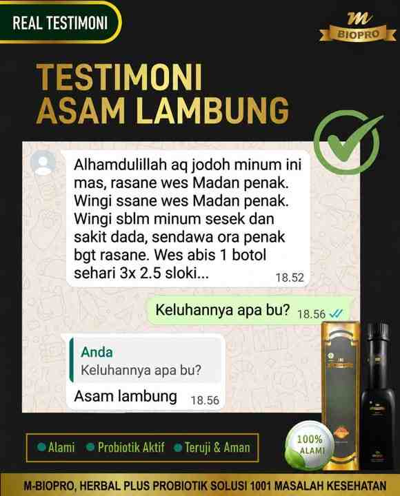 Testimoni Lambung