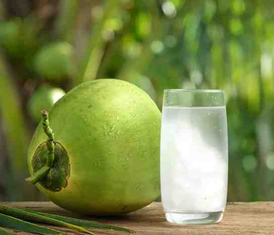 Air Kelapa